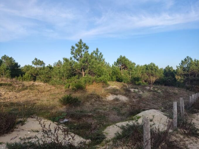 La Tremblade: Hiking in the Forêt Domaniale De La Coubre - Frequently Asked Questions