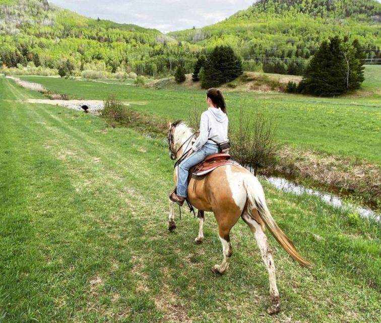 La Vallée: a Charming Introduction to Horseback Riding - Highlights of the Itinerary