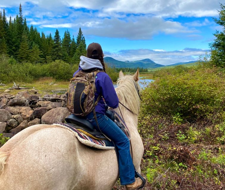 La Vallée: a Charming Introduction to Horseback Riding - Meeting Point and Availability