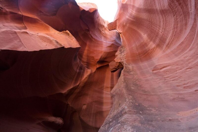 LA: Vegas, Grand, Antelope and Bryce Canyon, Zion 4-Day Tour - Inclusions