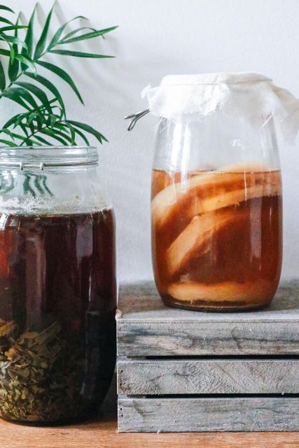 Lab Experience Create Your Own Bathtub Gin - Analyzing Gin Botanicals