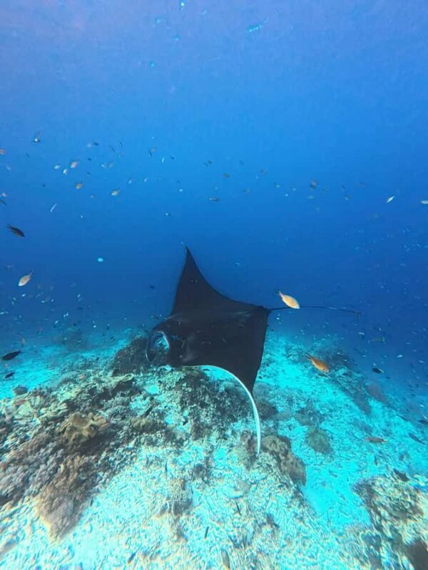 Labuan Bajo: 2 Nights Komodo Liveaboard on Phinisi Boat - The Boat & Accommodation Experience