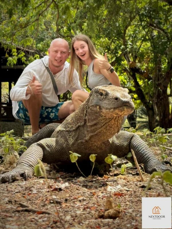 Labuan Bajo: 2D1N Komodo & Pink Beach Shared Boat Tour - Key Points
