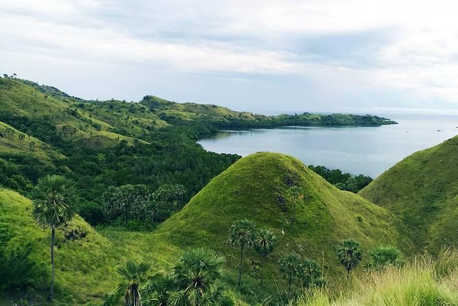 Labuan Bajo In Depth - Pickup and Meeting Information