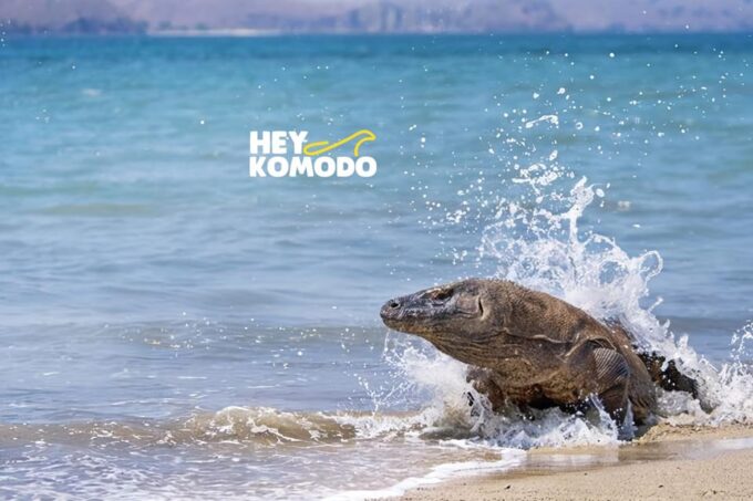 Labuan Bajo: Komodo Island 6 Spots Speedboat Tour With Lunch - Tour Location and Duration