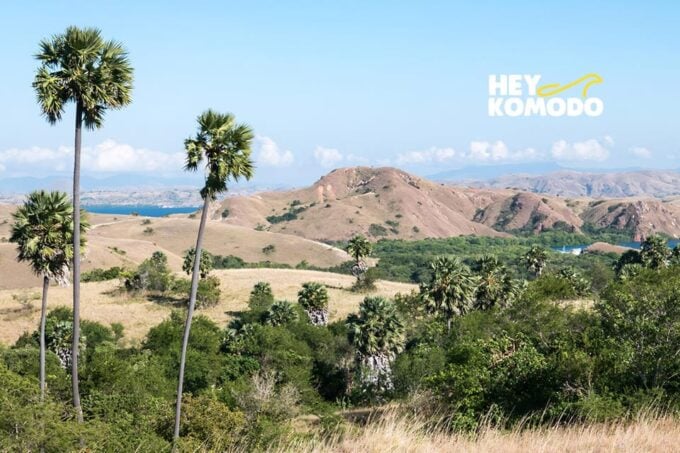 Labuan Bajo: Komodo Island 6 Spots Speedboat Tour With Lunch - Frequently Asked Questions