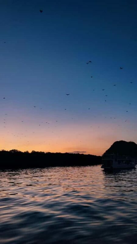 Labuan Bajo: Komodo Private and Shared Speedboat Day Trip - Komodo Island: Dragon Spotting and Wildlife