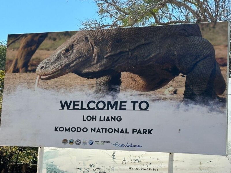 Labuan Bajo: One Day Tour to Explore Komodo National Park - Activity Highlights