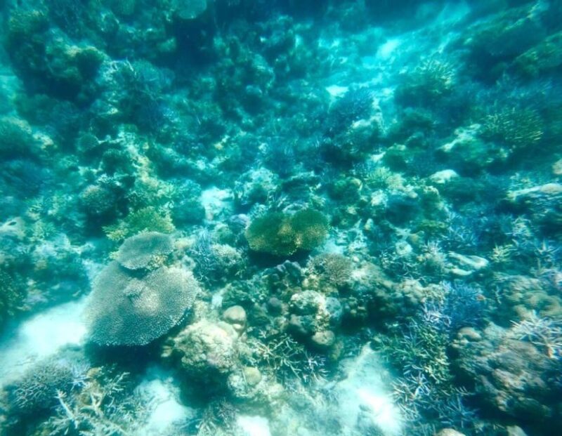 Labuan Bajo: Rangko Cave and Beach Snorkeling Half-Day Tour - Afternoon Departure