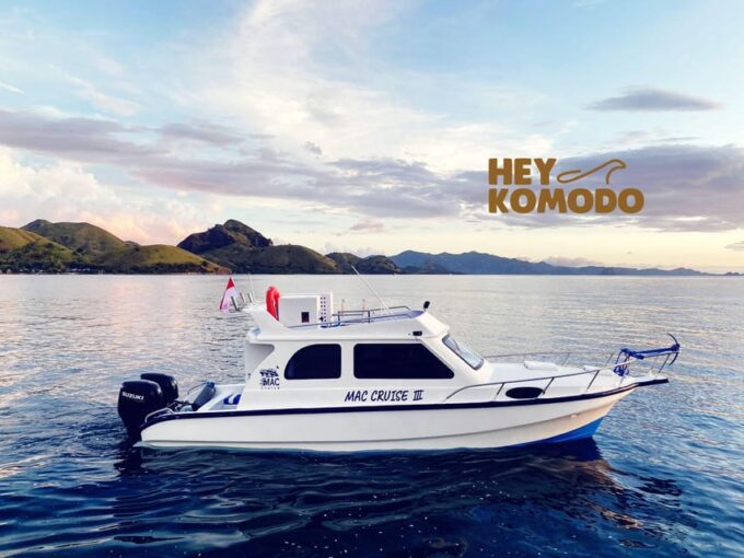 Labuan Bajo : Rent Private Speedboat Full Day Komodo Tour - Speedboat Availability and Booking