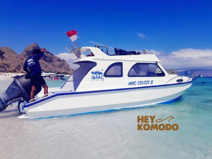 Labuan Bajo : Rent Private Speedboat Full Day Komodo Tour - Suitability and Restrictions
