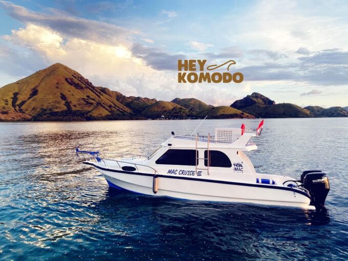 Labuan Bajo : Rent Private Speedboat Full Day Komodo Tour - Frequently Asked Questions