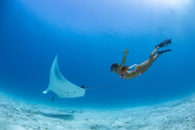 Labuan Bajo: Swim and Snorkel Komodo Island Trip With Lunch - Frequently Asked Questions