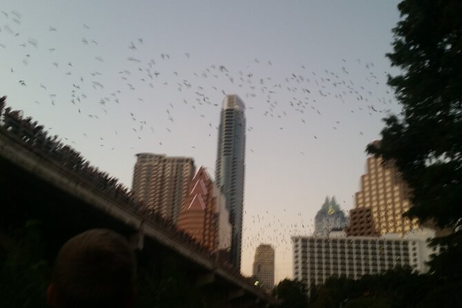 Lady Bird Lake Bike Tour in Austin - History of Austin
