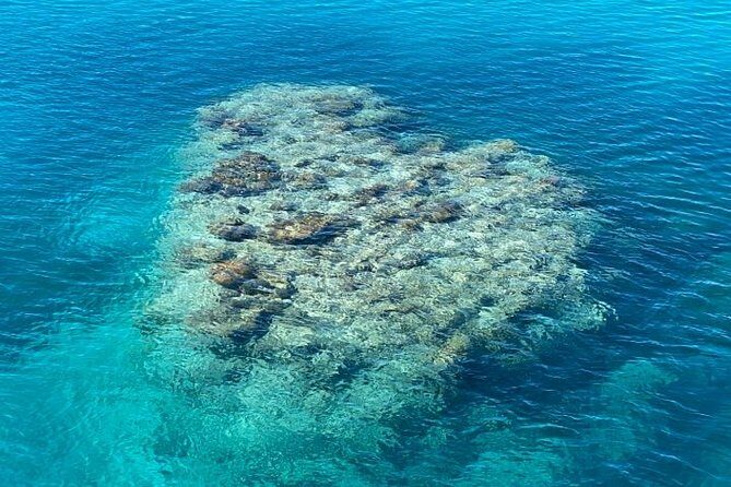 Lady Musgrave Day Trip from Bundaberg Including Snorkeling - Who Will Love This Tour?