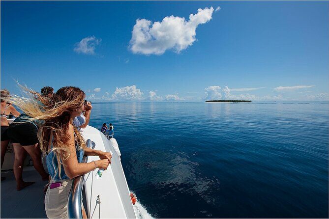 Lady Musgrave Day Trip from Bundaberg Including Snorkeling - The Sum Up: Who Is This Tour Best For?