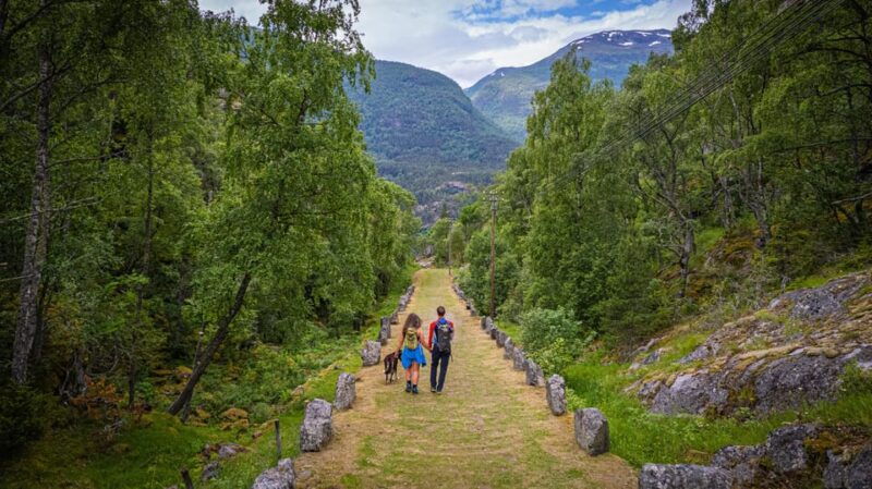 Lærdal: Guided Tour in Borgund Stave Church and Vindhella - Experience Highlights