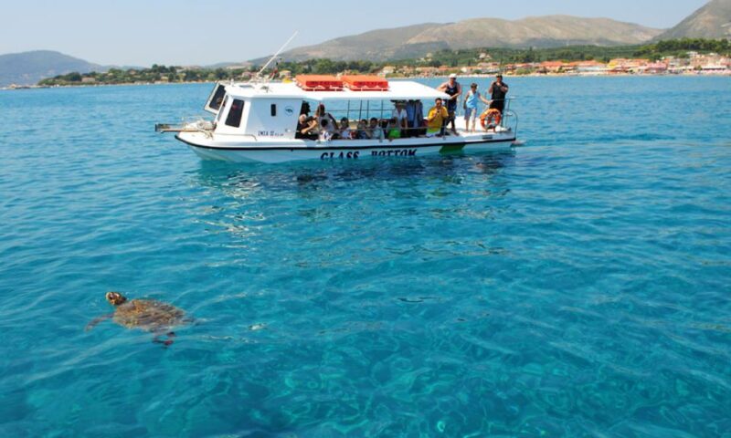 Laganas: Zakynthos Marine Park and Turtle Spotting Boat Tour - Inclusions and Exclusions