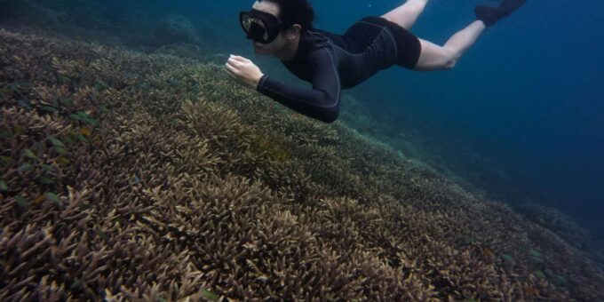 Laginha Beach: Snorkeling Gear Rental - Frequently Asked Questions