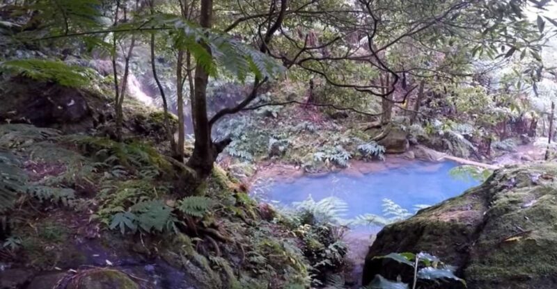 Lagoa Do Fogo: Guided Volcano Geo Tour W/ Hotsprings Bathing - Key Points