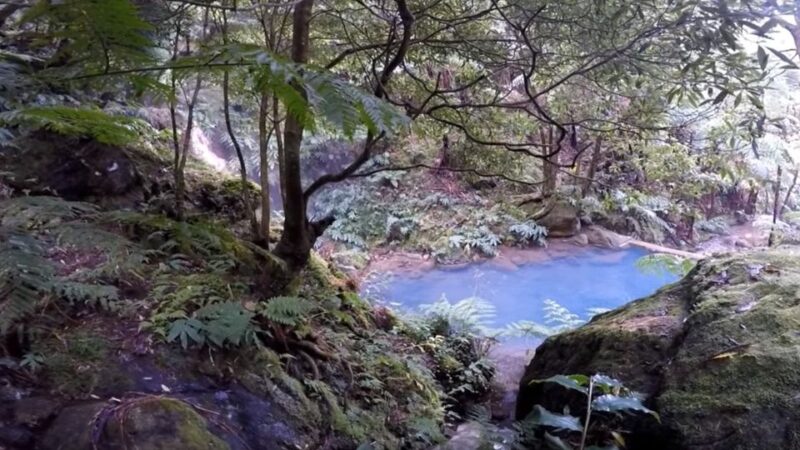 Lagoa Do Fogo: Guided Volcano Geo Tour W/ Hotsprings Bathing - Itinerary and Highlights