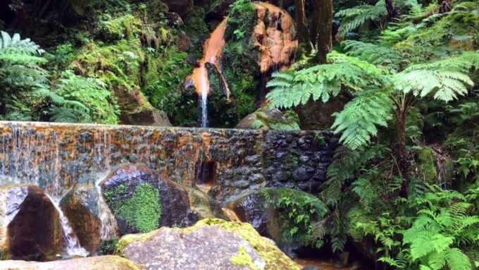 Lagoa Do Fogo: Guided Volcano Geo Tour W/ Hotsprings Bathing - Customer Feedback and Meeting
