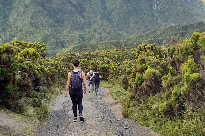 Lagoa Do Fogo: Private Scenic Walking Tour - Tour Requirements and Restrictions