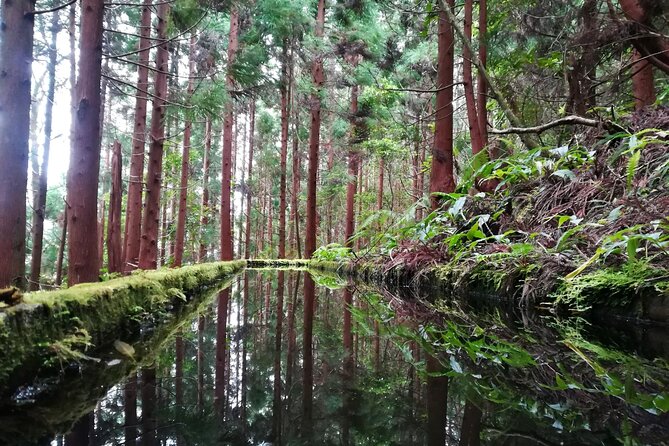 Lagoa Do Fogo Walking Tour With Lunch From Ponta Delgada - Meeting and Pickup Information