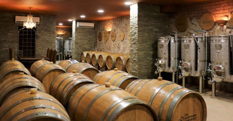 Lagoa: Guided Winery Tour and Local Wine Tasting - Tour Experience
