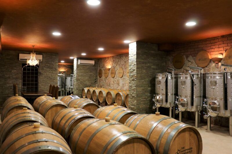 Lagoa: Guided Winery Tour and Local Wine Tasting - Cancellation Policy