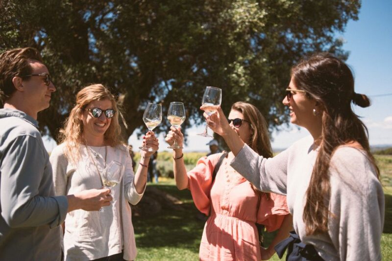 Lagoa: Vineyard Tour and Wine Tasting - Itinerary Details