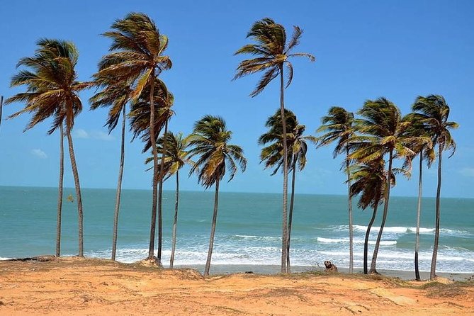 Lagoinha Beach Tour - Transportation and Pickup Information