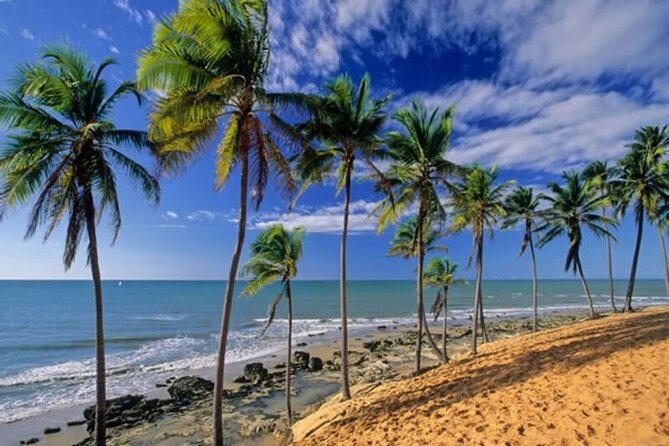 Lagoinha Beach Tour - Tour Highlights and Activities
