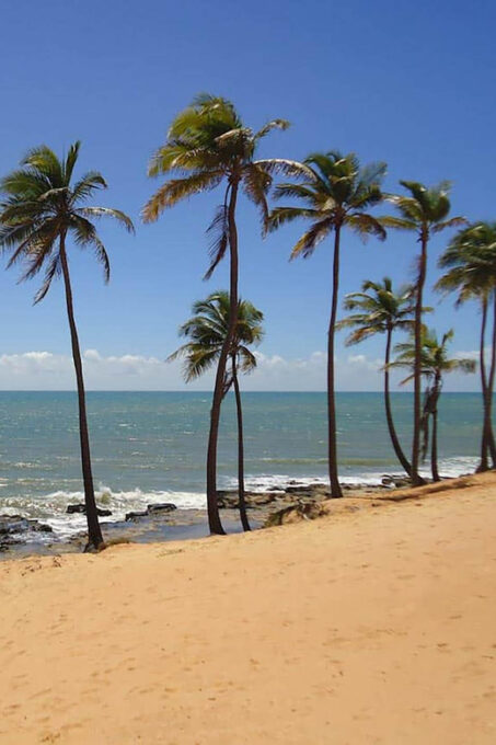 Lagoinha in 1 Day: Beauty of Ceará - Booking and Pricing Details