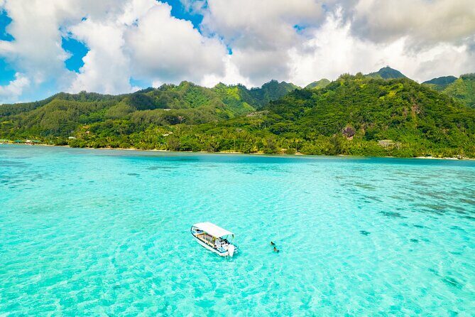 Lagoon and Marine Wildlife Tour in Moorea - Who Will Love This Tour?