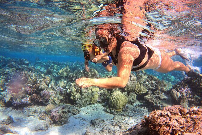 Lagoon and Marine Wildlife Tour in Moorea - FAQ