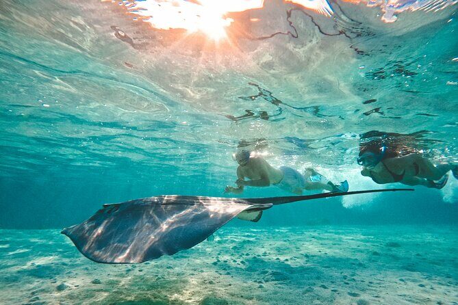 Lagoon and Wildlife Discovery on a Private Boat in Moorea - Who Will Love This Tour?