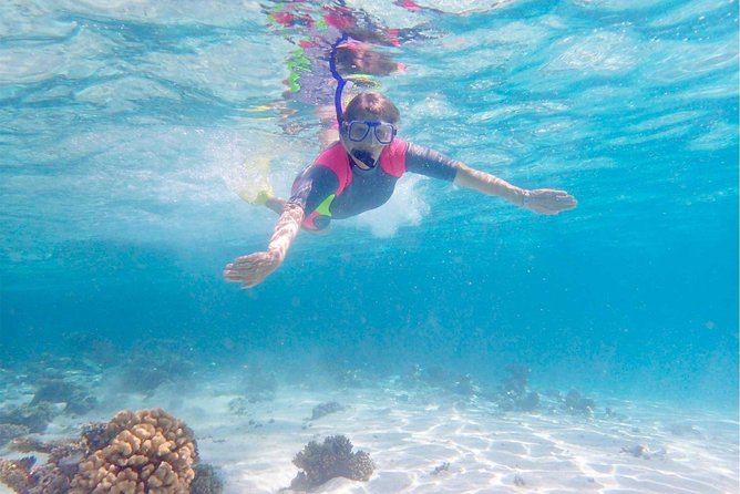Lagoon Explorer - Ningaloo Reef Full-Day Kayaking and Snorkeling Adventure - Activities