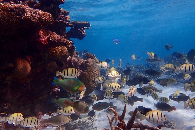 Lagoon Explorer - Ningaloo Reef Full-Day Kayaking and Snorkeling Adventure - Pickup Locations