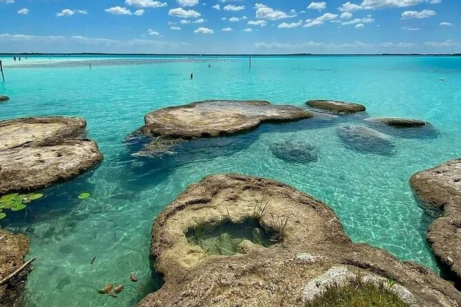 Lagoon of 7 Colors From Costa Maya - Boat Tour and Transportation - Transportation