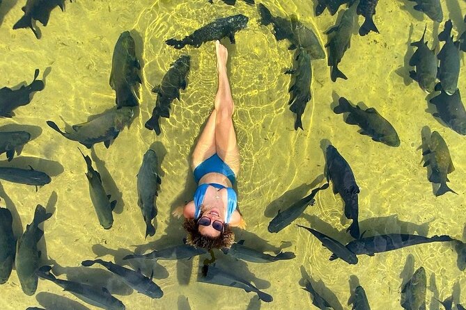LAGOON of the TAMBAQUI (An Amazing Experience) - Key Points