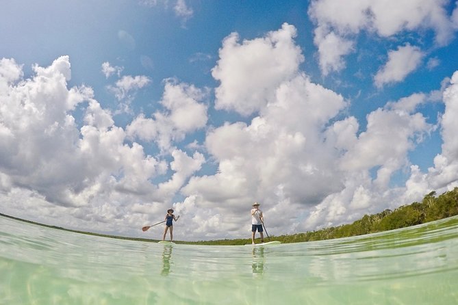 Lagoon Paddleboarding Tour in Tulum - Guide Expertise
