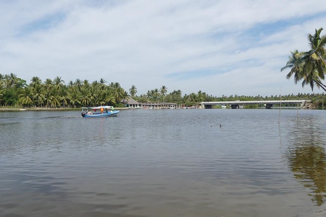 Lagoon Ride AfroMex Village Baby Turtle Release &Croc Farm Visit - Observing Wildlife