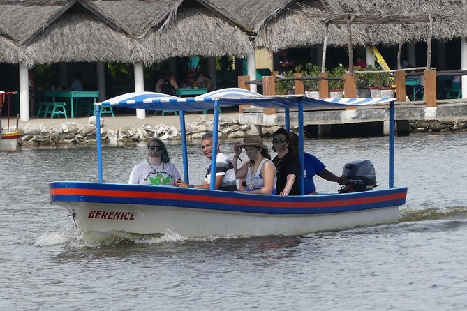 Lagoon Ride AfroMex Village Baby Turtle Release &Croc Farm Visit - Baby Turtle Release