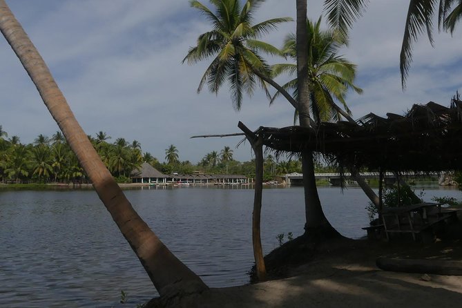 Lagoon Ride AfroMex Village Baby Turtle Release &Croc Farm Visit - Croc Farm Visit