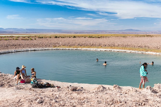 Lagoons in Atacama Salt Flat - Half Day - Typical Tour - San Pedro De Atacama - Included in the Tour