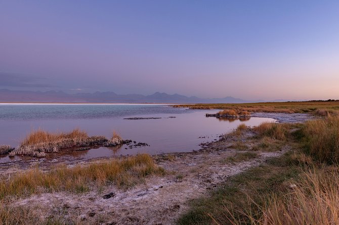 Lagoons in Atacama Salt Flat - Half Day - Typical Tour - San Pedro De Atacama - About the Tour Operator