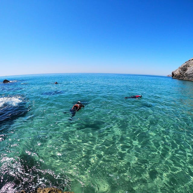 Lagos: Algarve Coasteering and Snorkeling Adventure - Customer Feedback Highlights