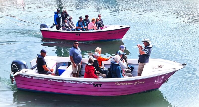Lagos-Algarve: Grotto Trip - Boat Trip Late Afternoon - Boats and Capacity