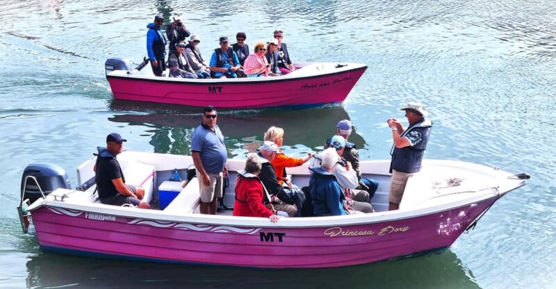 Lagos-Algarve: Grotto Trip - Boat Trip Late Afternoon - Inclusions and Meeting Point